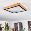 Sobredo Lámpara de Techo LED Blanca, 1 luz
