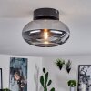 Haikala Lámpara de Techo Ahumado, 1 luz