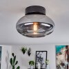Haikala Lámpara de Techo Ahumado, 1 luz