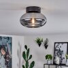 Haikala Lámpara de Techo Ahumado, 1 luz