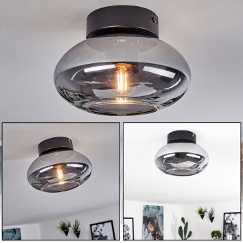 Haikala Lámpara de Techo Ahumado, 1 luz