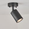 Corneda Lámpara de techo para exterior Negro, 1 luz