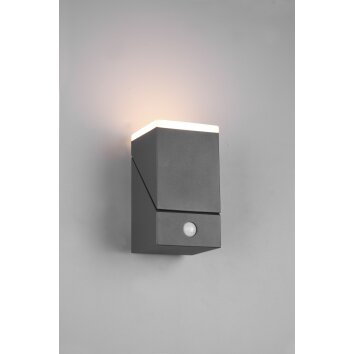 Trio Avon Aplique para exterior LED Antracita, 1 luz, Sensor de movimiento