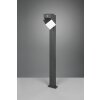 Trio Avon Poste de Jardín LED Antracita, 1 luz, Sensor de movimiento