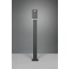 Trio Avon Poste de Jardín LED Antracita, 1 luz, Sensor de movimiento