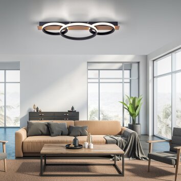 Leuchten-Direkt Trooper Lámpara de Techo LED Color madera, Negro, 1 luz