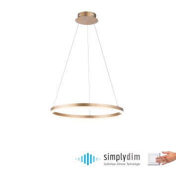 Leuchten-Direkt TITUS Lámpara Colgante LED Latón, 1 luz
