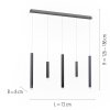 Paul Neuhaus PURE-GEMIN Lámpara Colgante LED Aluminio, Negro, 5 luces