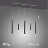 Paul Neuhaus PURE-GEMIN Lámpara Colgante LED Aluminio, Negro, 5 luces