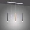 Paul Neuhaus PURE-GEMIN Lámpara Colgante LED Aluminio, Latón, Negro, 5 luces