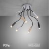 Paul Neuhaus PURE-GEMIN Lámpara de Techo LED Aluminio, Latón, Negro, 6 luces