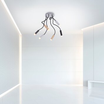 Paul Neuhaus PURE-GEMIN Lámpara de Techo LED Aluminio, Latón, Negro, 6 luces