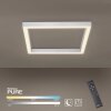 Paul Neuhaus PURE-LINES Lámpara de Techo LED Aluminio, 1 luz, Mando a distancia