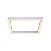 Paul Neuhaus PURE-LINES Lámpara de Techo LED Aluminio, 1 luz, Mando a distancia