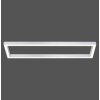 Paul Neuhaus PURE-LINES Lámpara de Techo LED Aluminio, 1 luz, Mando a distancia