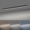 Paul Neuhaus PURE-LINES Lámpara de Techo LED Antracita, 1 luz, Mando a distancia
