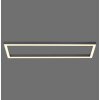 Paul Neuhaus PURE-LINES Lámpara de Techo LED Antracita, 1 luz, Mando a distancia