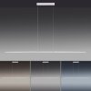 Paul Neuhaus PURE-LITE Lámpara Colgante LED Acero inoxidable, 1 luz