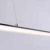 Paul Neuhaus PURE-LITE Lámpara Colgante LED Antracita, 1 luz