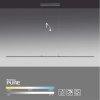 Paul Neuhaus PURE-LITE Lámpara Colgante LED Antracita, 1 luz