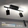 Paul Neuhaus PURE-MIRA Lámpara de Techo LED Negro, 2 luces, Mando a distancia