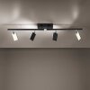 Paul Neuhaus PURE-MIRA Lámpara de Techo LED Negro, 4 luces, Mando a distancia