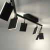 Paul Neuhaus PURE-MIRA Lámpara de Techo LED Negro, 6 luces, Mando a distancia