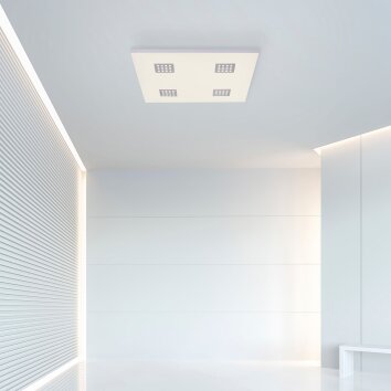 Paul Neuhaus PURE-NEO Lámpara de Techo LED Aluminio, 4 luces, Mando a distancia