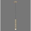 Paul Neuhaus PURE-VEGA Lámpara Colgante LED Latón, 3 luces