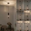 Paul Neuhaus PURE-VEGA Lámpara Colgante LED Latón, 3 luces