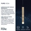 Paul Neuhaus PURE-VEGA Lámpara Colgante LED Latón, 9 luces