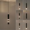 Paul Neuhaus PURE-VEGA Lámpara Colgante LED Latón, 9 luces