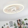 Oleiro Ventilador de techo LED Gris, Blanca, 1 luz, Mando a distancia