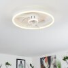 Oleiro Ventilador de techo LED Gris, Blanca, 1 luz, Mando a distancia