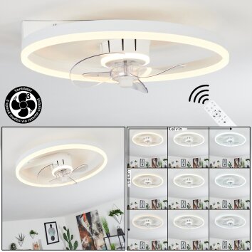 Oleiro Ventilador de techo LED Gris, Blanca, 1 luz, Mando a distancia