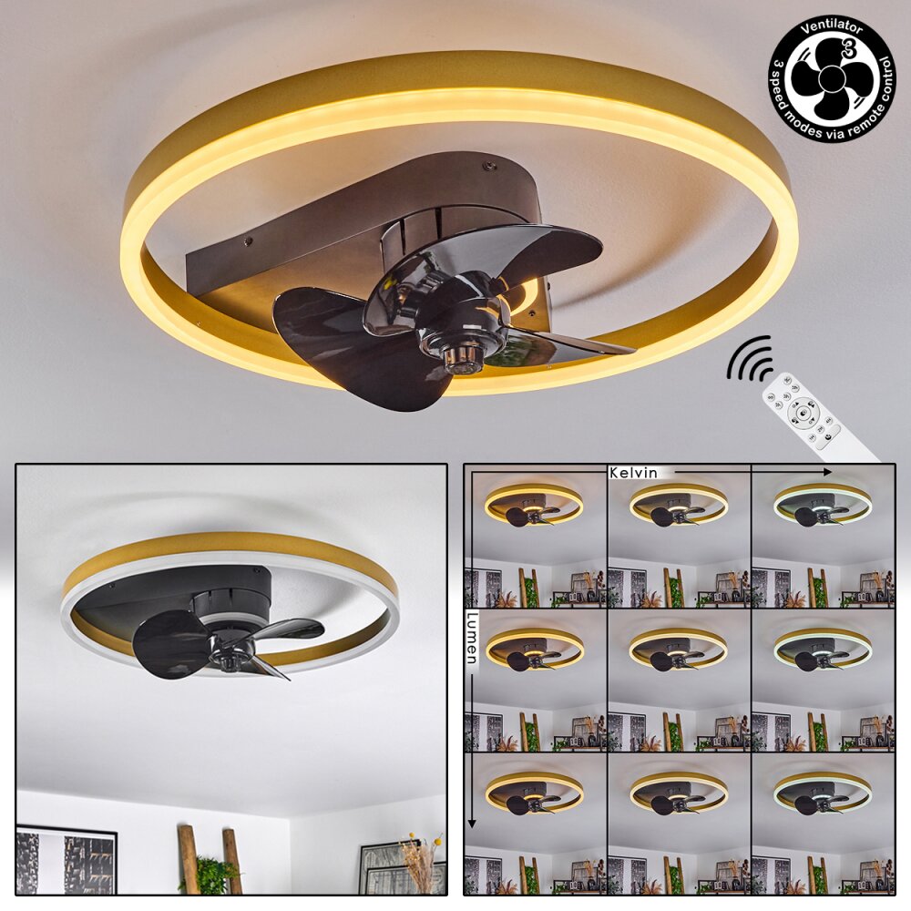 Oleiro Ventilador de techo LED dorado, Negro, Blanca, 1 luz, Mando a distancia main product photo