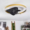 Oleiro Ventilador de techo LED dorado, Negro, Blanca, 1 luz, Mando a distancia