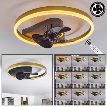 Oleiro Ventilador de techo LED dorado, Negro, Blanca, 1 luz, Mando a distancia