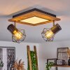Bardhaman Lámpara de Techo LED Negro, 3 luces