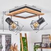 Bardhaman Lámpara de Techo LED Negro, 3 luces