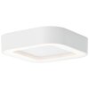 Brillliant Whittaker Lámpara de techo para exterior LED Blanca, 1 luz