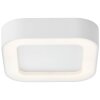 Brillliant Whittaker Lámpara de techo para exterior LED Blanca, 1 luz