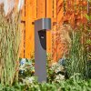 Kingstown Poste de Jardín Antracita, 1 luz, Sensor de movimiento