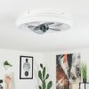 Tirkkala Ventilador de techo LED, 1 luz