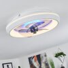 Tirkkala Ventilador de techo LED Blanca, 1 luz