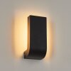 Kirkhall Aplique para exterior LED Negro, 1 luz