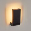 Kirkhall Aplique para exterior LED Negro, 1 luz