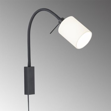 Fischer & Honsel Maui Aplique Negro, 1 luz