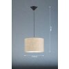 Fischer & Honsel Vigo Lámpara Colgante Negro, 1 luz