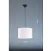 Fischer & Honsel Vigo Lámpara Colgante Negro, 1 luz